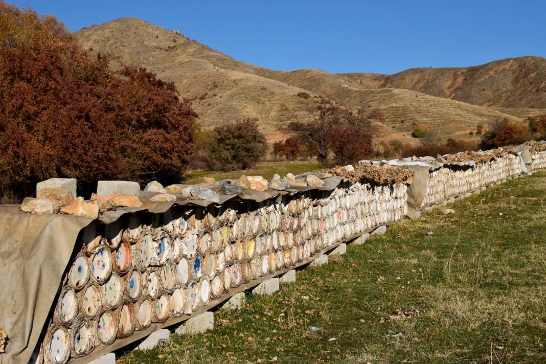 Avrupa'da birinci oldu. Bu yıl 800 ton hasat bekleniyor 3